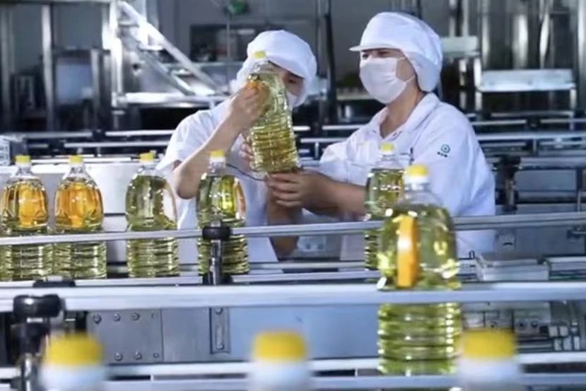 欧博abg - 官方网站登录入口